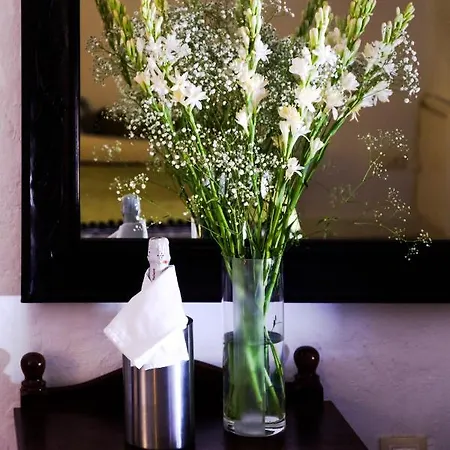 Almohalla51 * Archidona