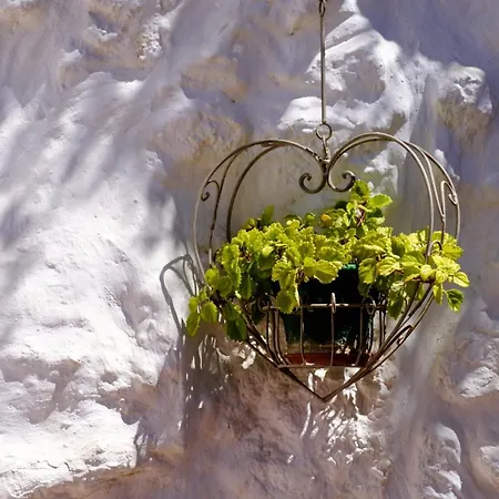 Otel Almohalla51 *